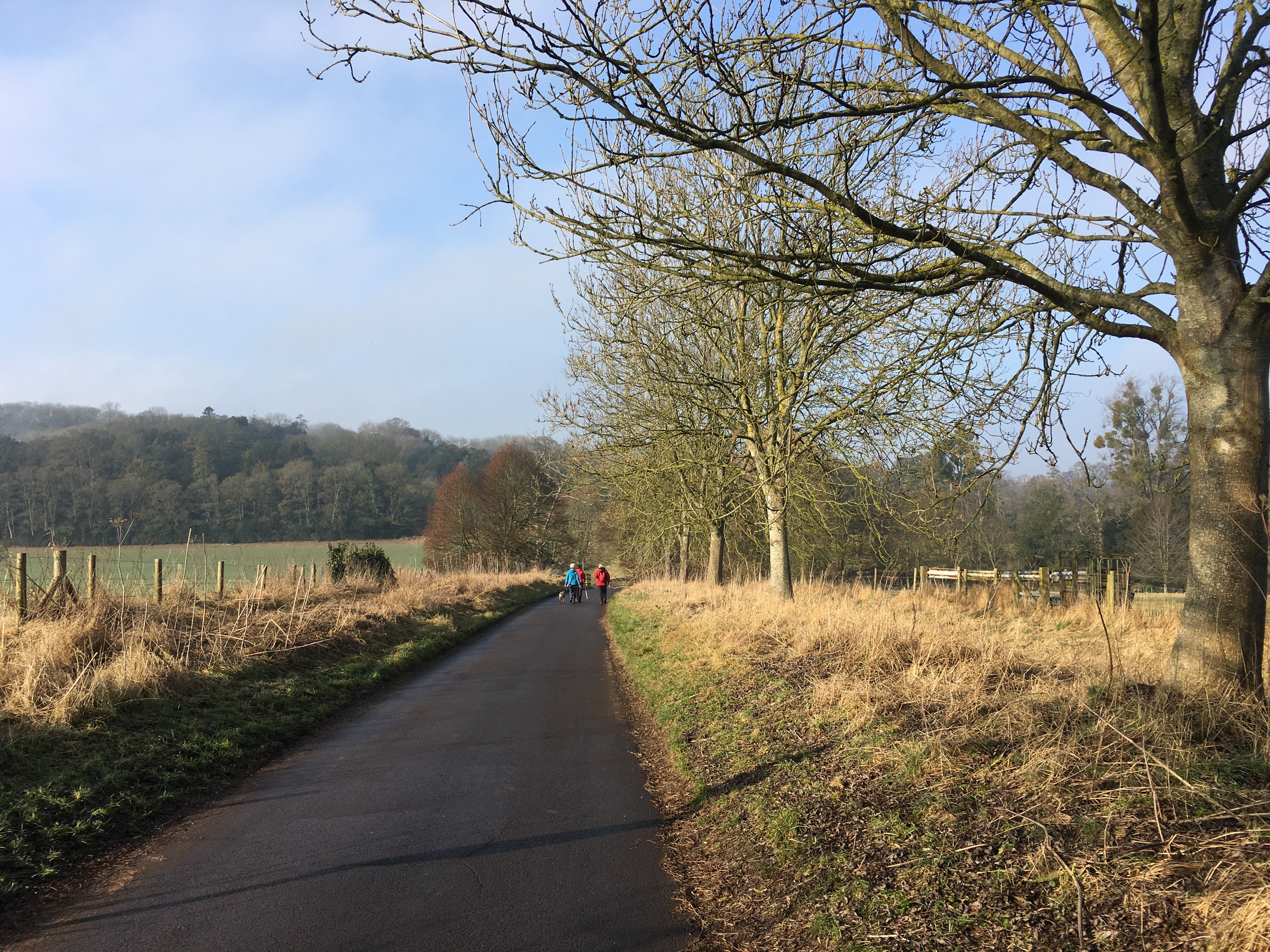 A FASTER PACED WALK (Gear 2 - 3) - Avington to Easton - 6 miles