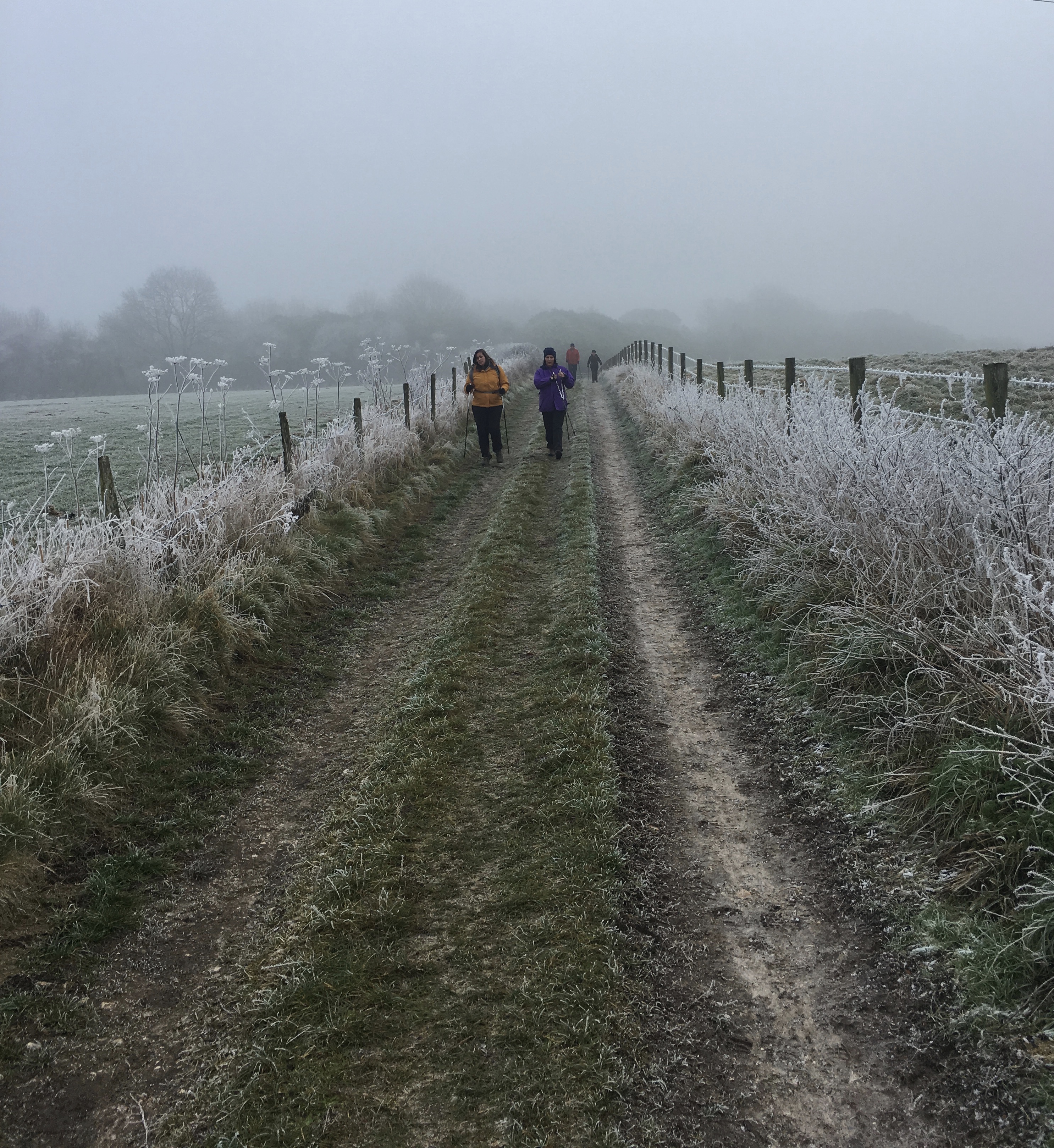 Wellbeing - A Gently paced walk from Alresford (Gear 1)