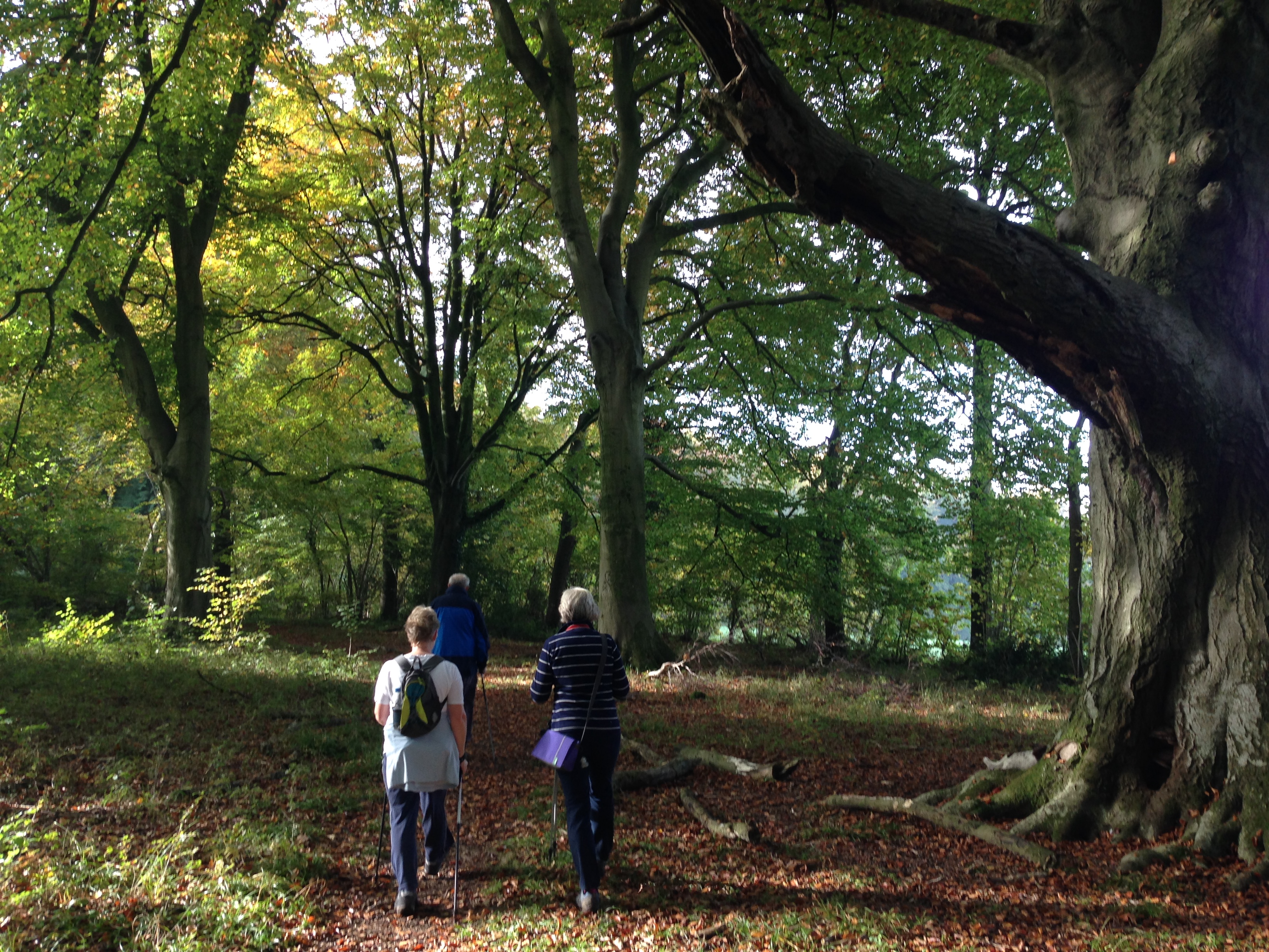 A great walk through Farley Mount Country Park - (gear 1 to 2) - 4 miles