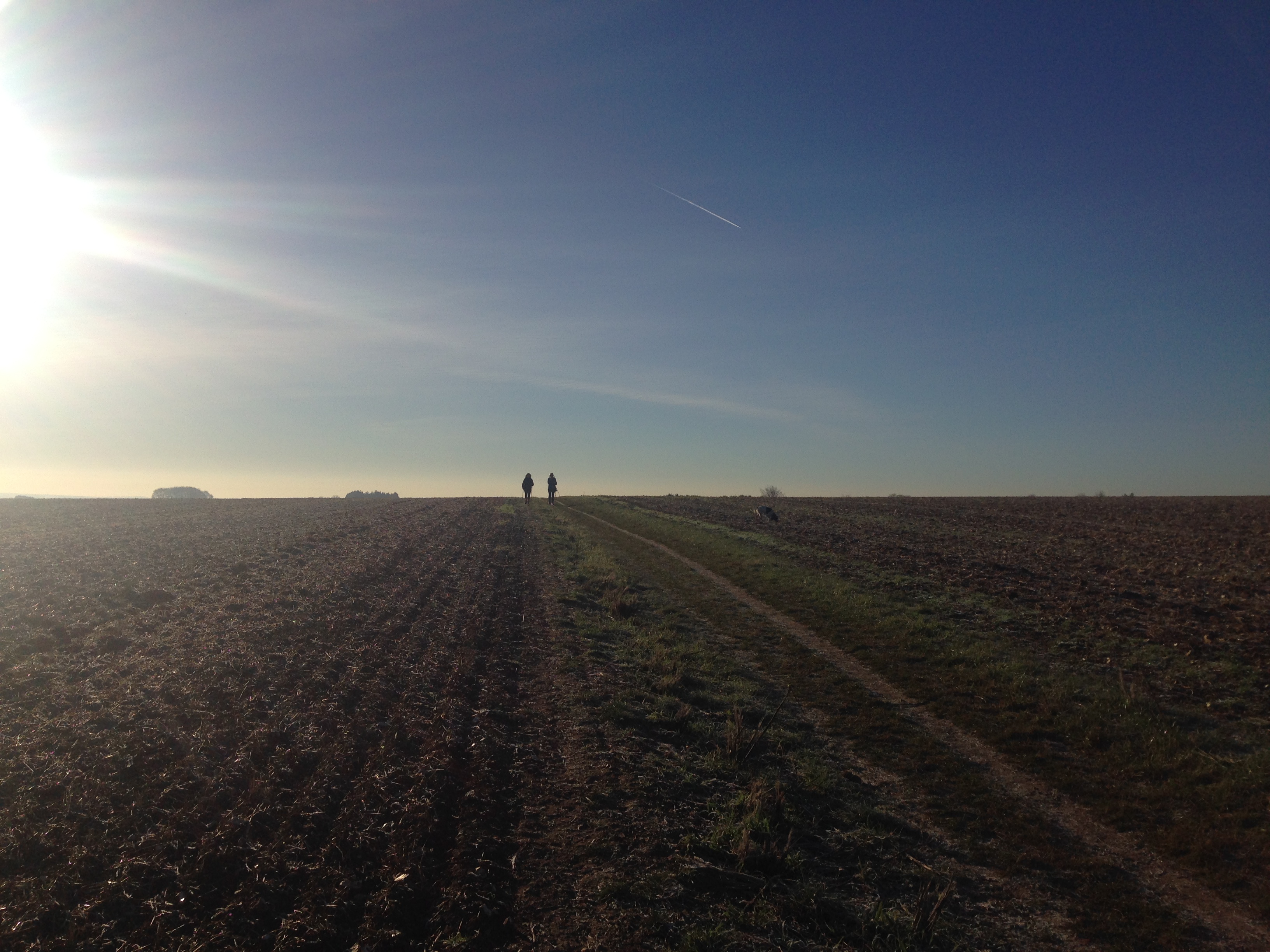 A countryside walk from South Wonston (Gear 1 - 2) - 6 miles