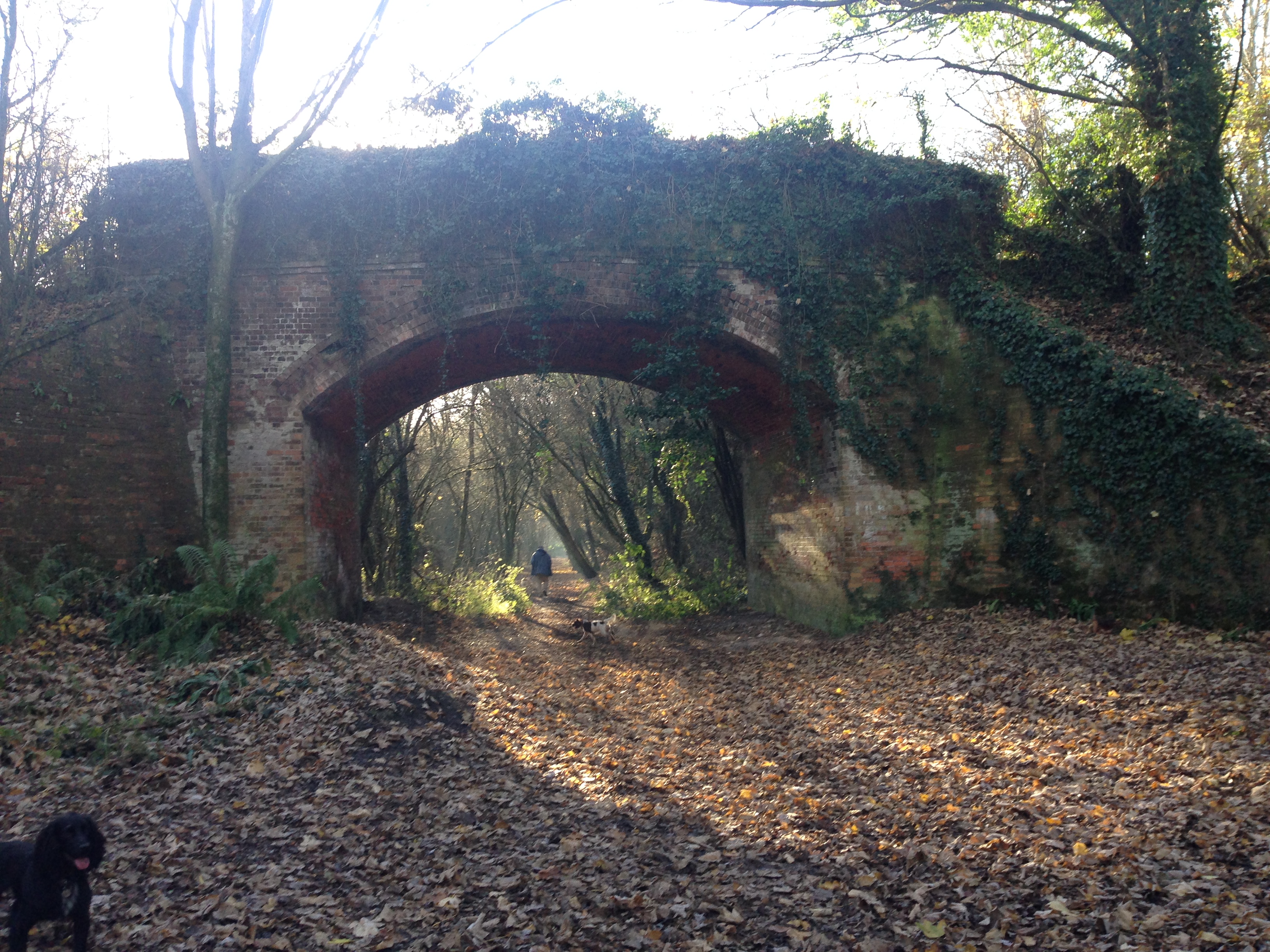 A countryside walk from South Wonston (Gear 1 - 2) - 6 miles