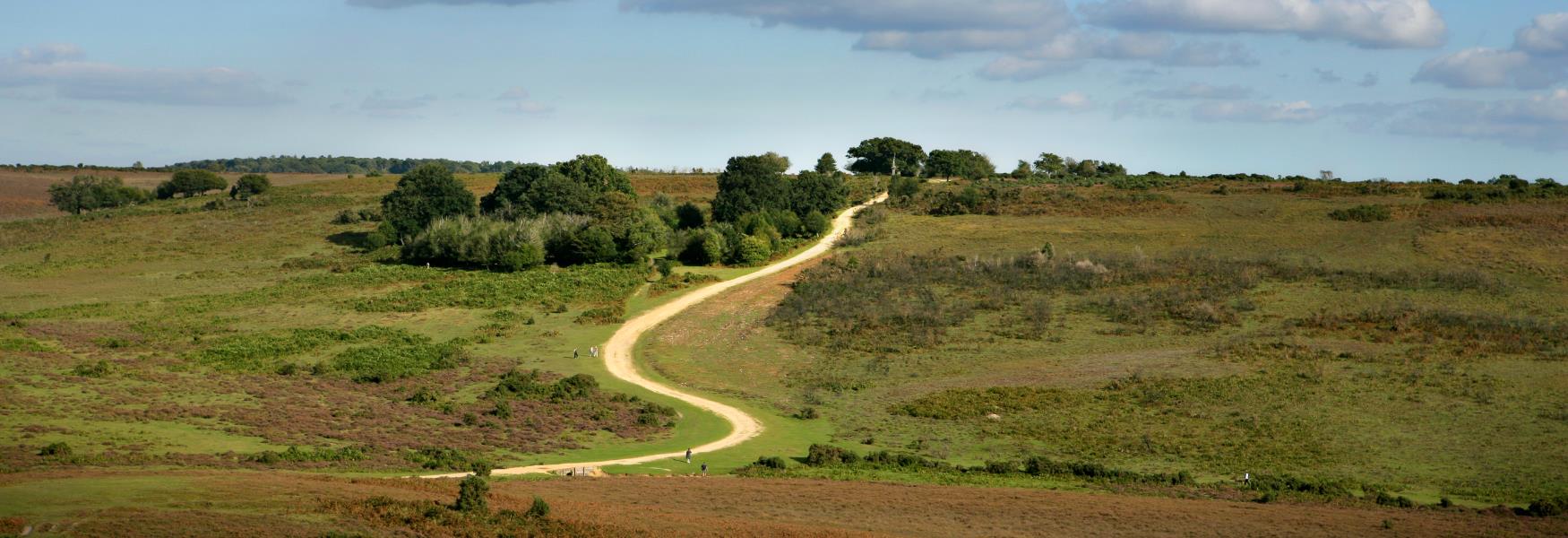 Burley Workout Walk