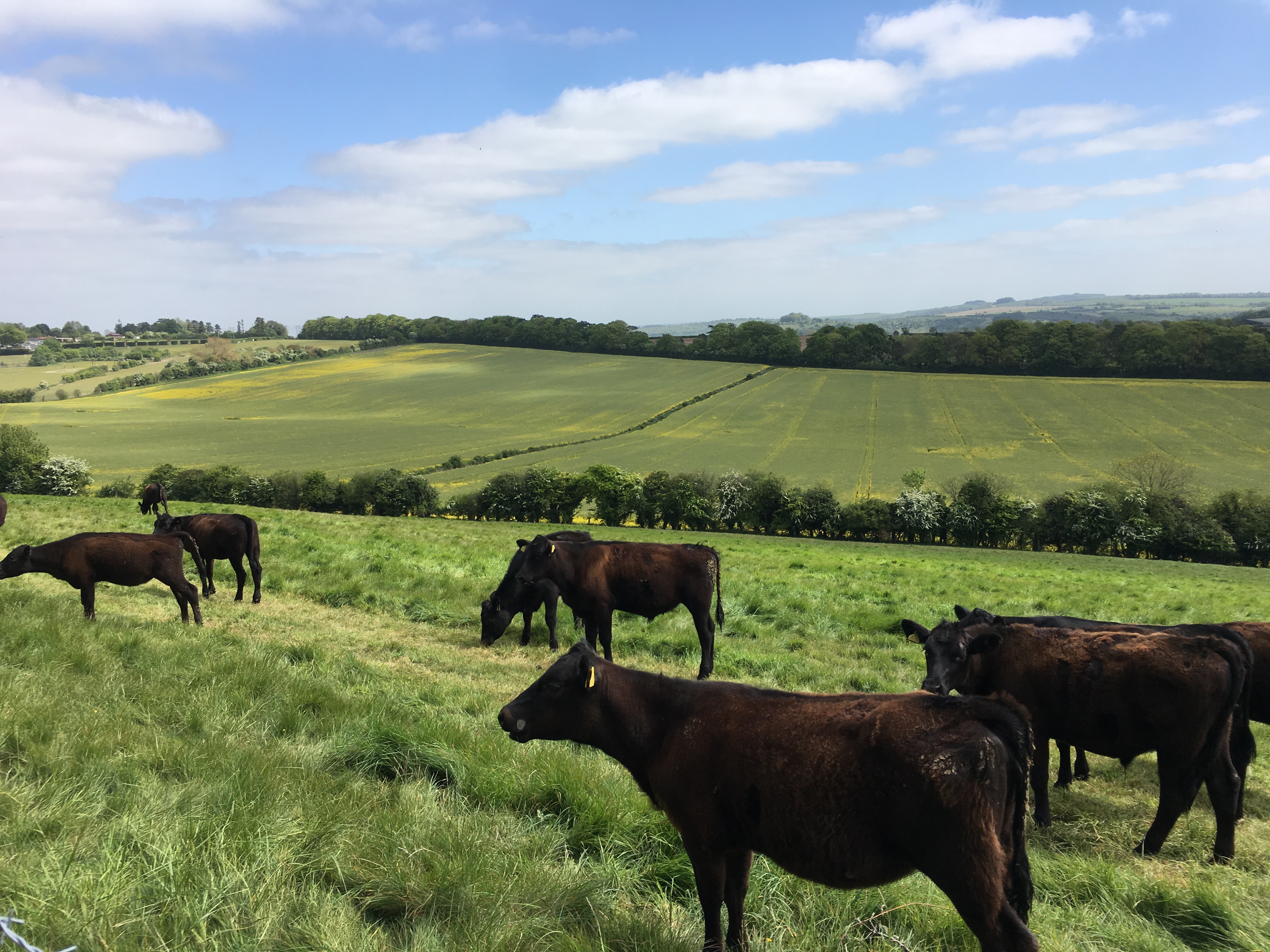 after walk from Winchester (Gear 1 to 2) - 5 miles