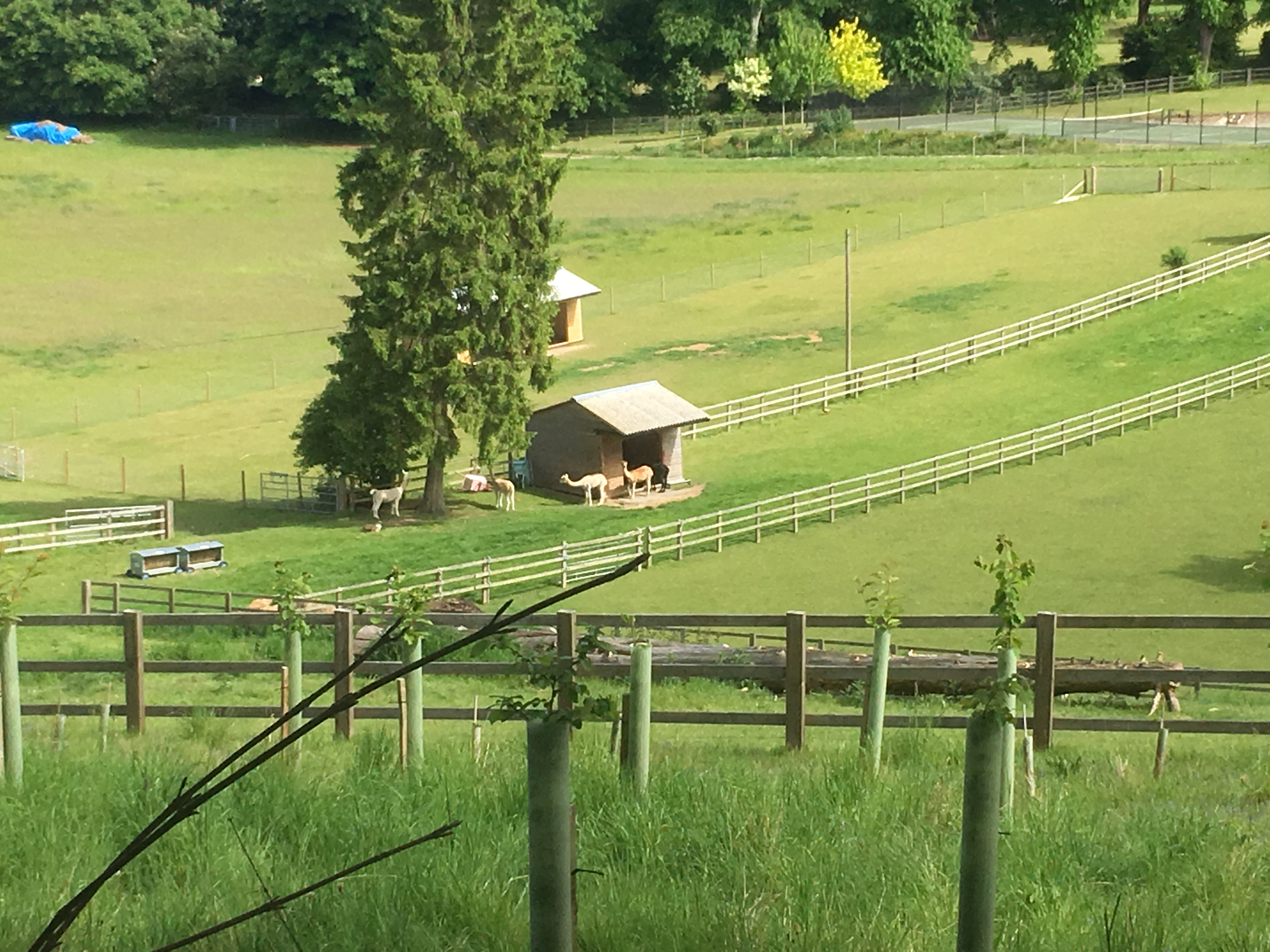 Twyford to Owslebury Circular Walk (Gear 1 to 2) - 6 miles