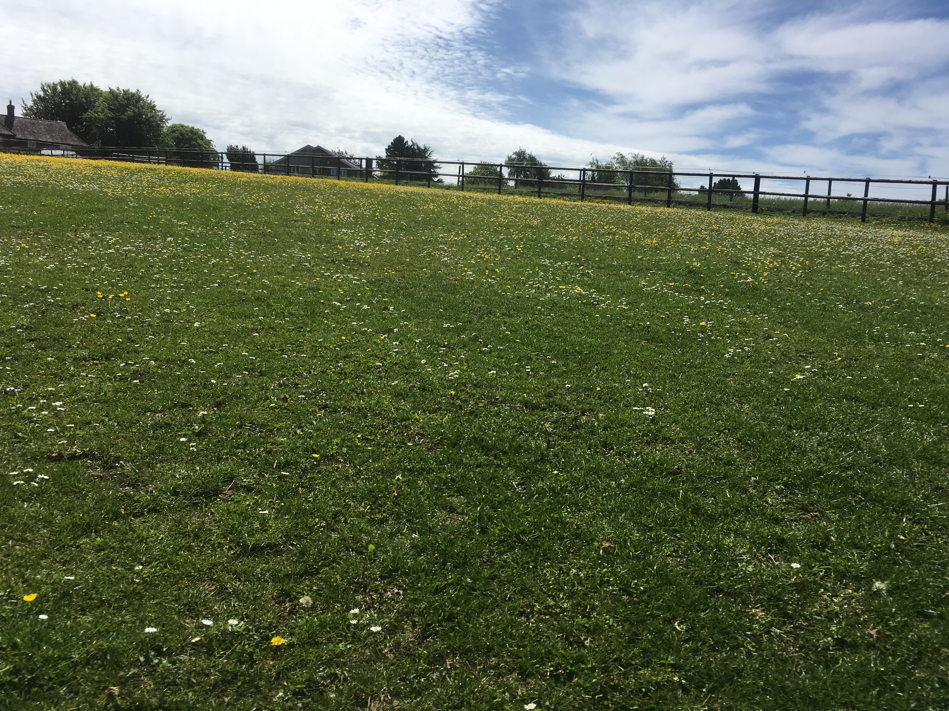 Twyford to Owslebury Circular Walk (Gear 1 to 2) - 6 miles