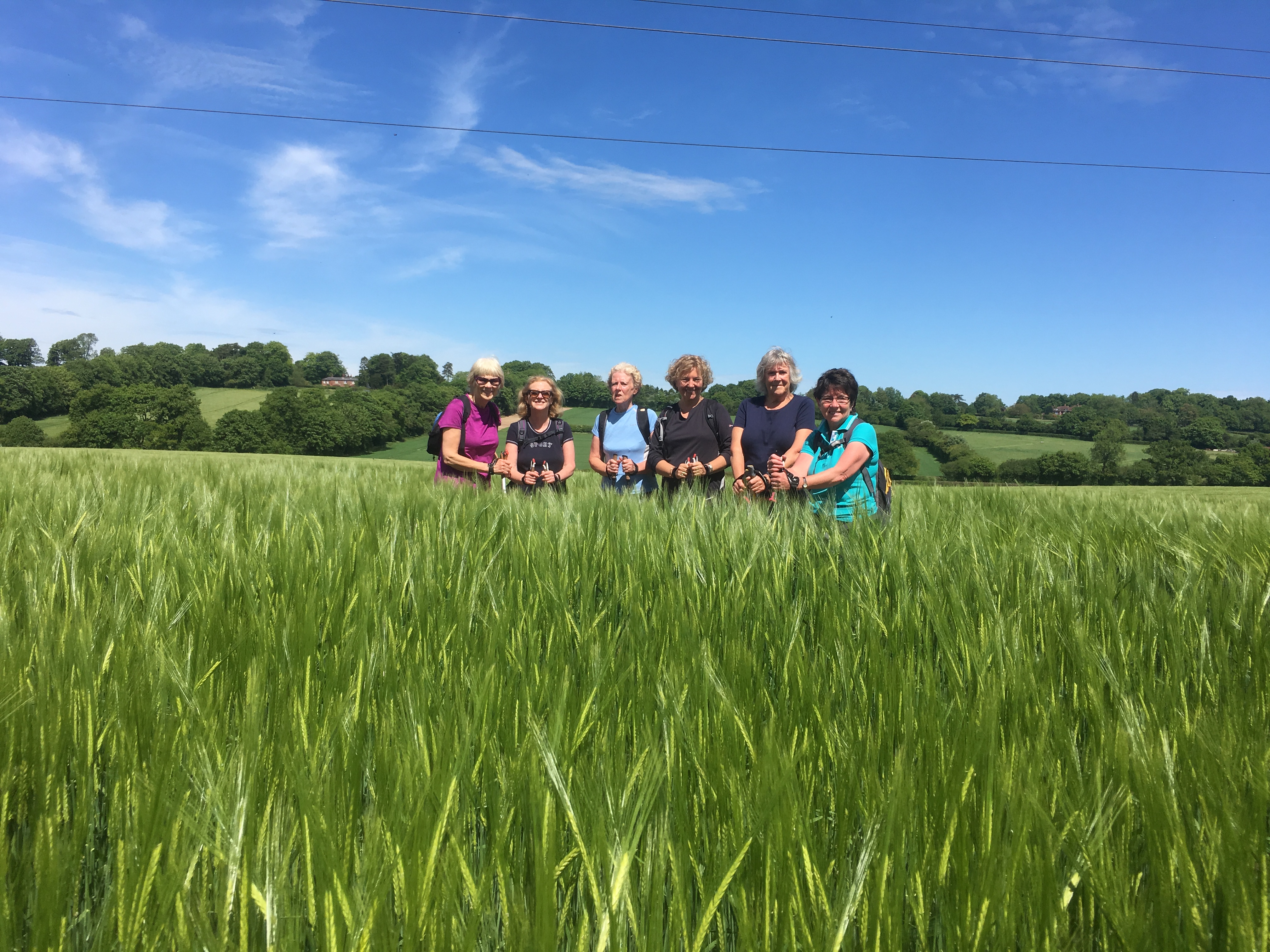Twyford to Owslebury Circular Walk (Gear 1 to 2) - 6 miles