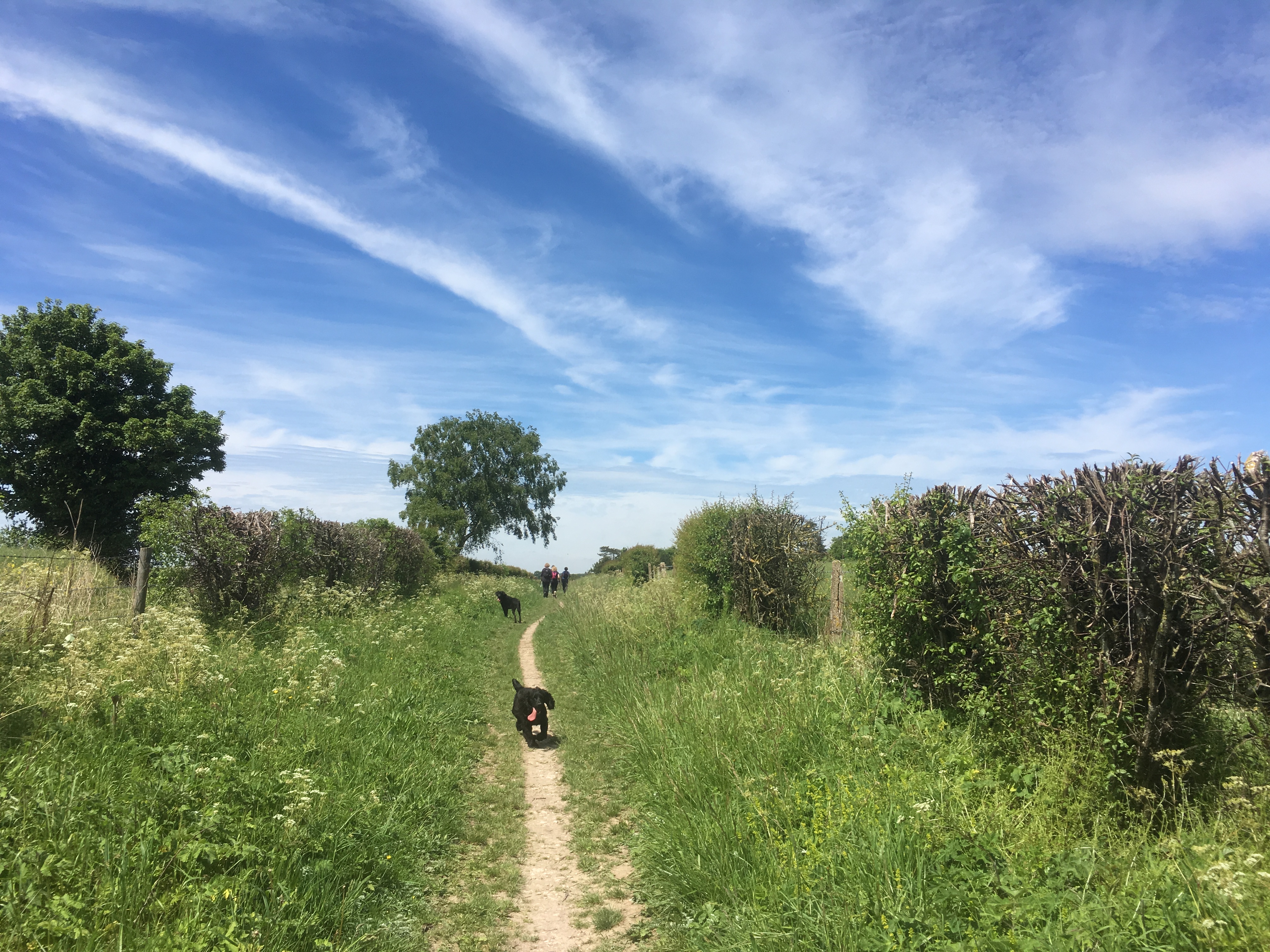 Twyford to Owslebury Circular Walk (Gear 1 to 2) - 6 miles