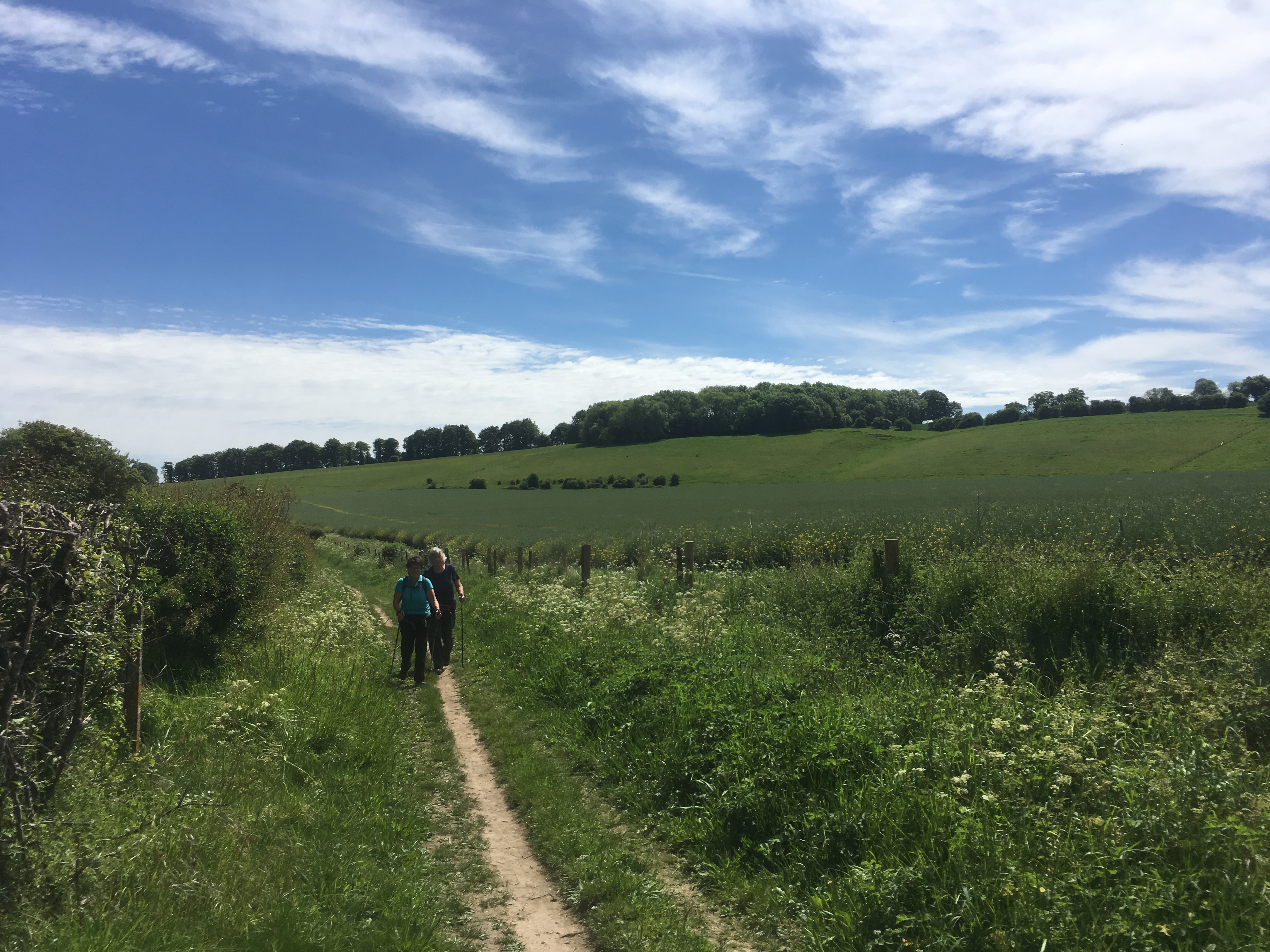 Twyford to Owslebury Circular Walk (Gear 1 to 2) - 6 miles