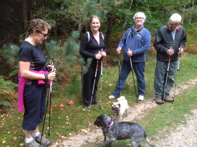 Wilverley Workout Walk