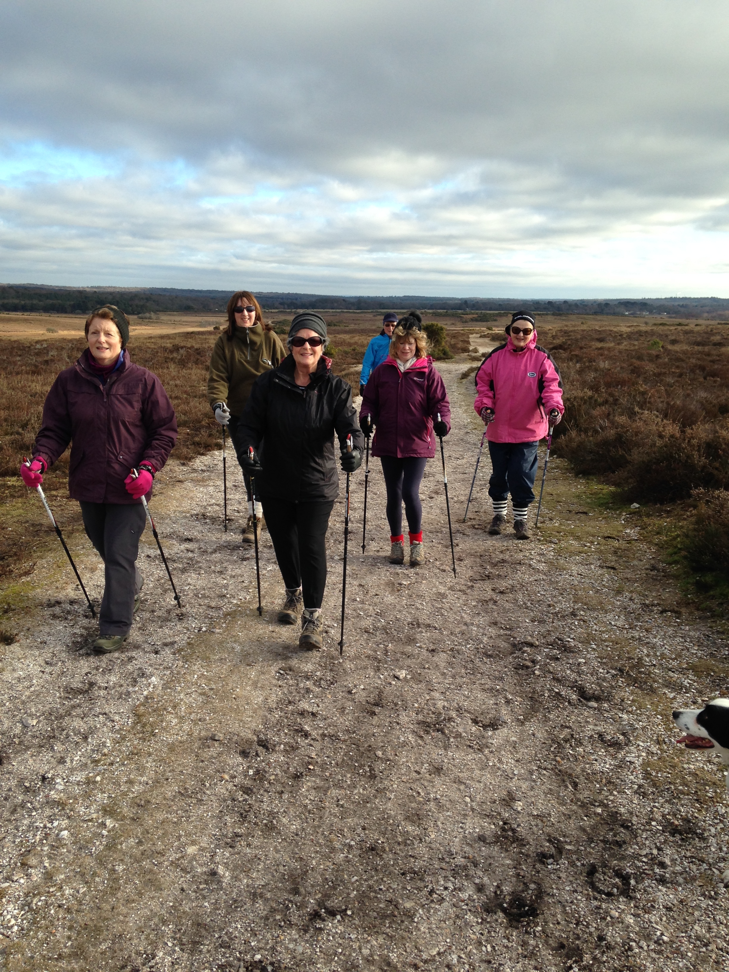 Wilverley Workout Walk